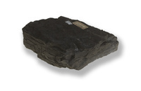 M 07470
<br/>
<br/>
<em></em>